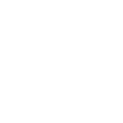 icon (3)