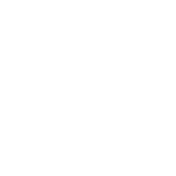 icon (5)